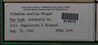 Image Associated With the Occurence
